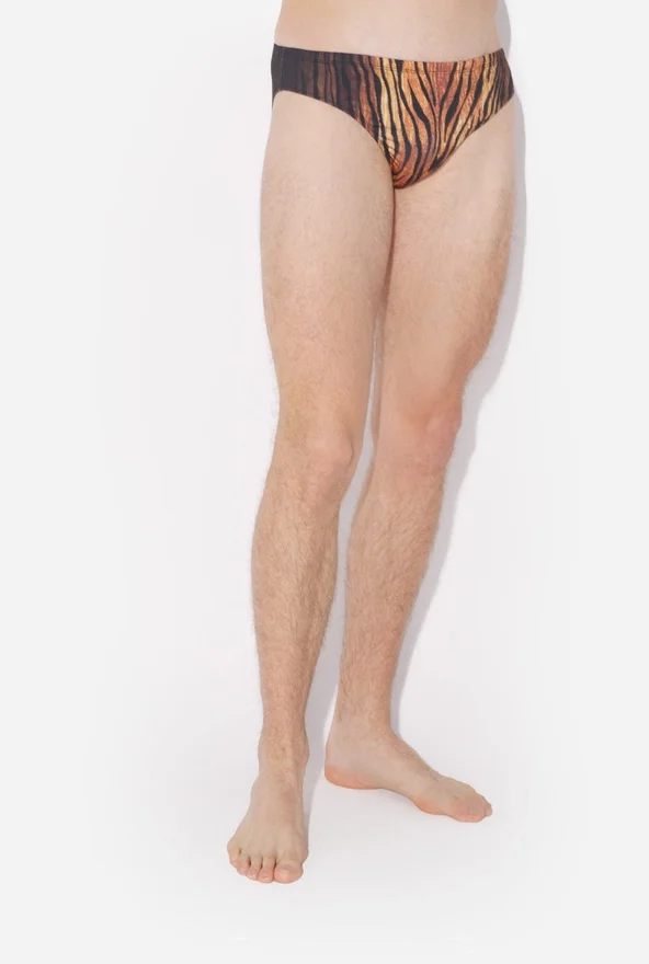 The Wood Swimming Briefs The Wood Swimming Briefs