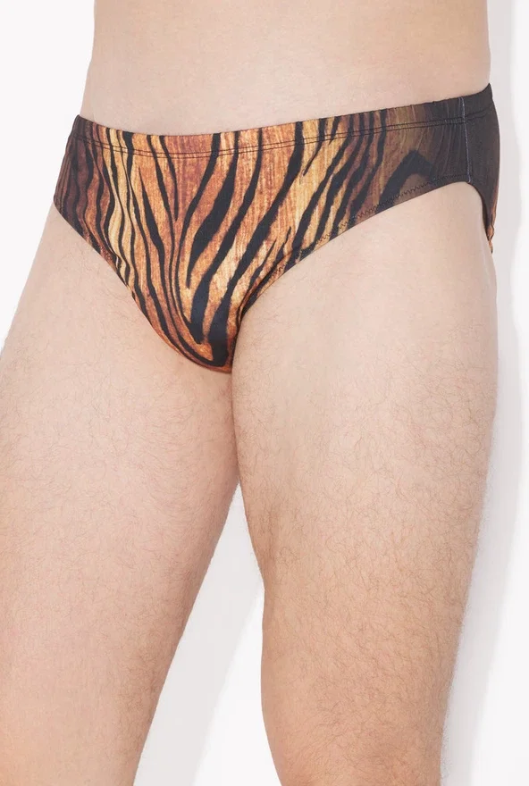 The Wood Swimming Briefs The Wood Swimming Briefs